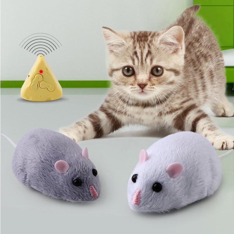 Remote Control Mouse Cat Toy with Cheese Remote