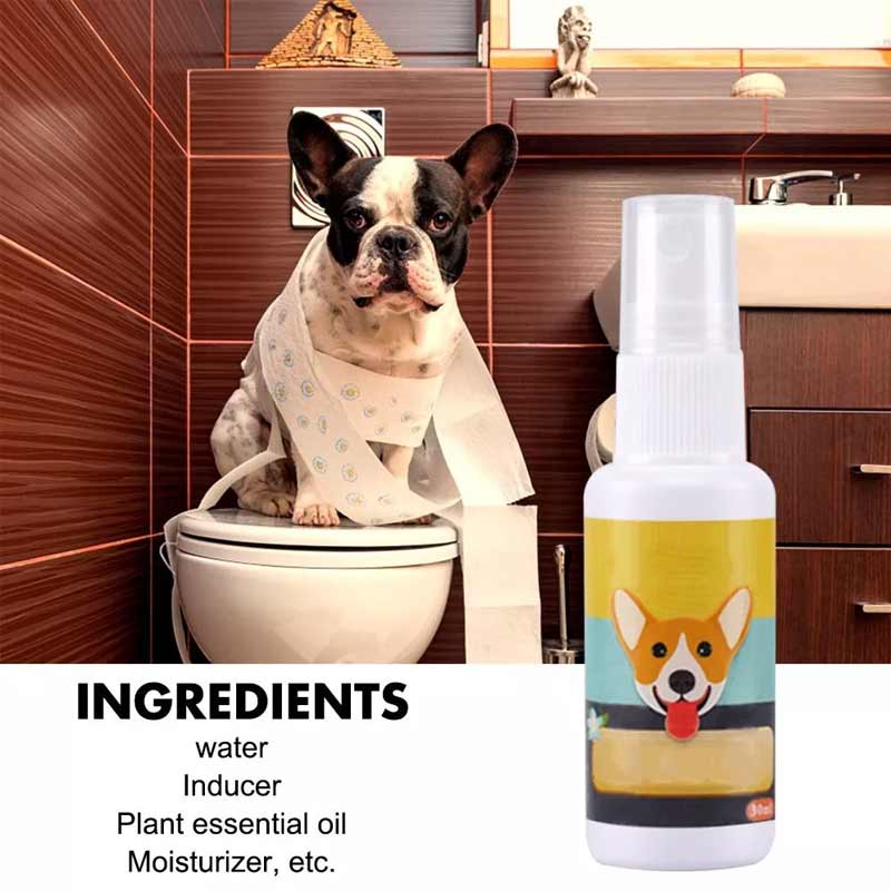 Dog Potty Training Attractant Spray