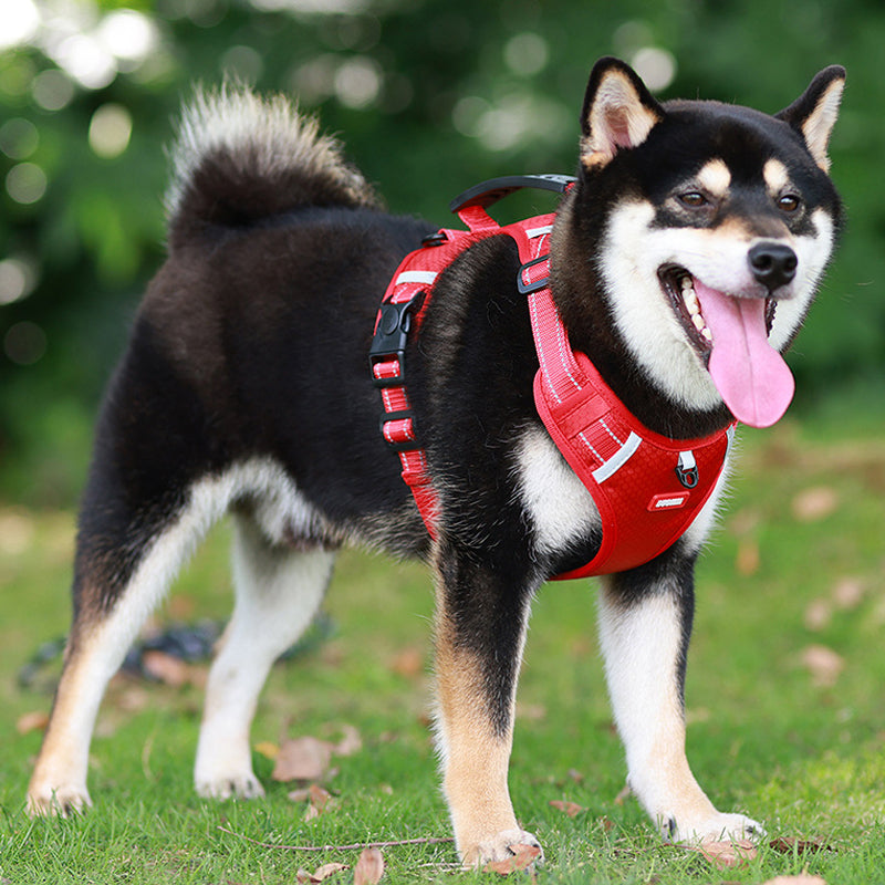 No-Pull Reflective Dog Harness & Leash Set
