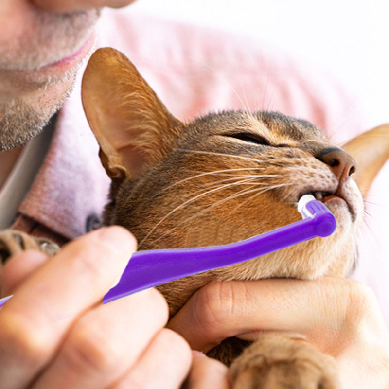 Dual-Sided Pet Toothbrush for Cats & Small Dogs