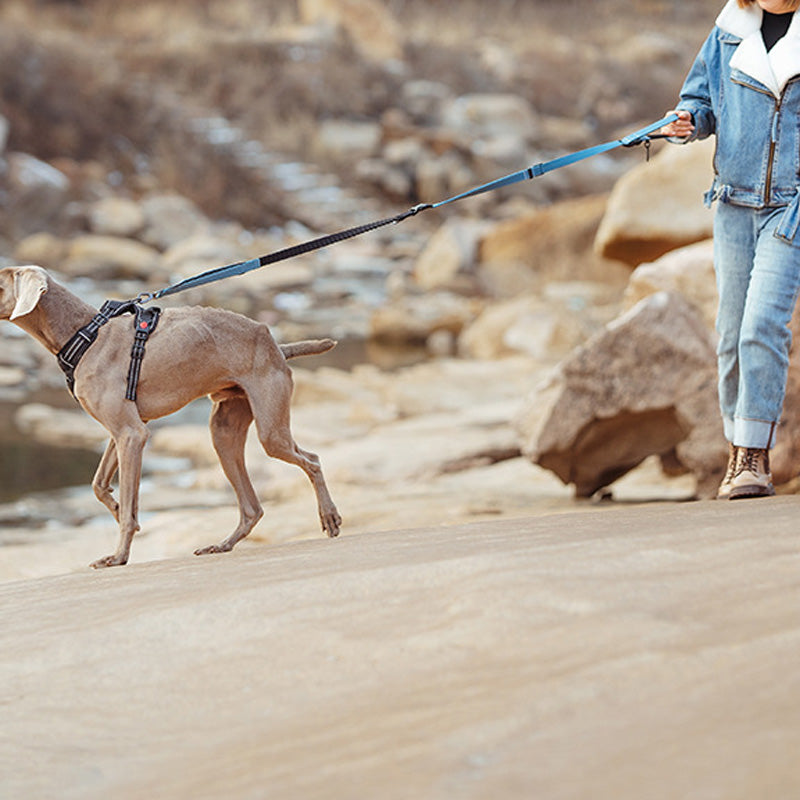 Hands-Free Bungee Dog Leash with Reflective Waist Belt