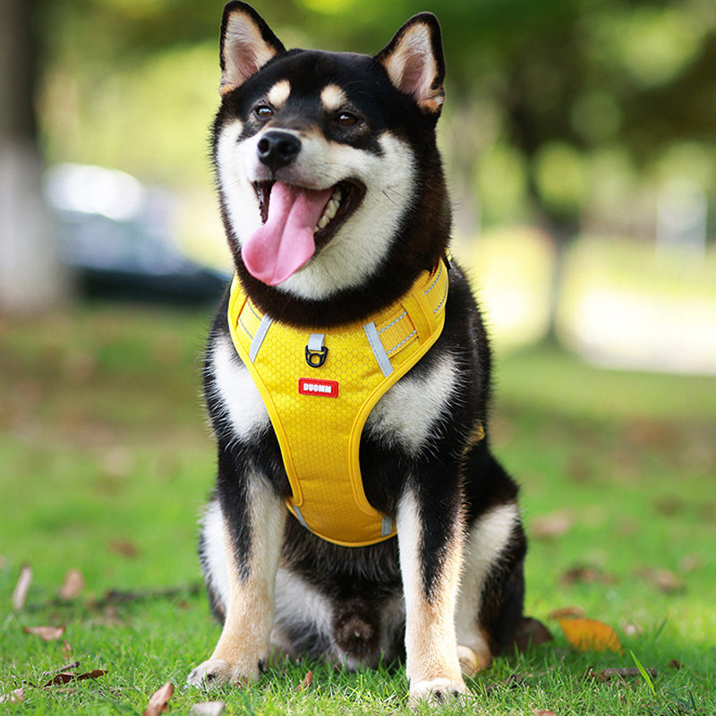 No-Pull Reflective Dog Harness & Leash Set