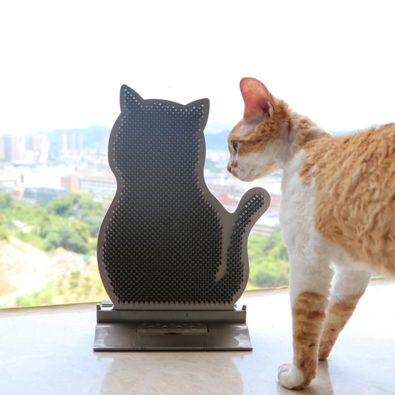 Cat Self-Groomer Corner Massage Brush with Catnip
