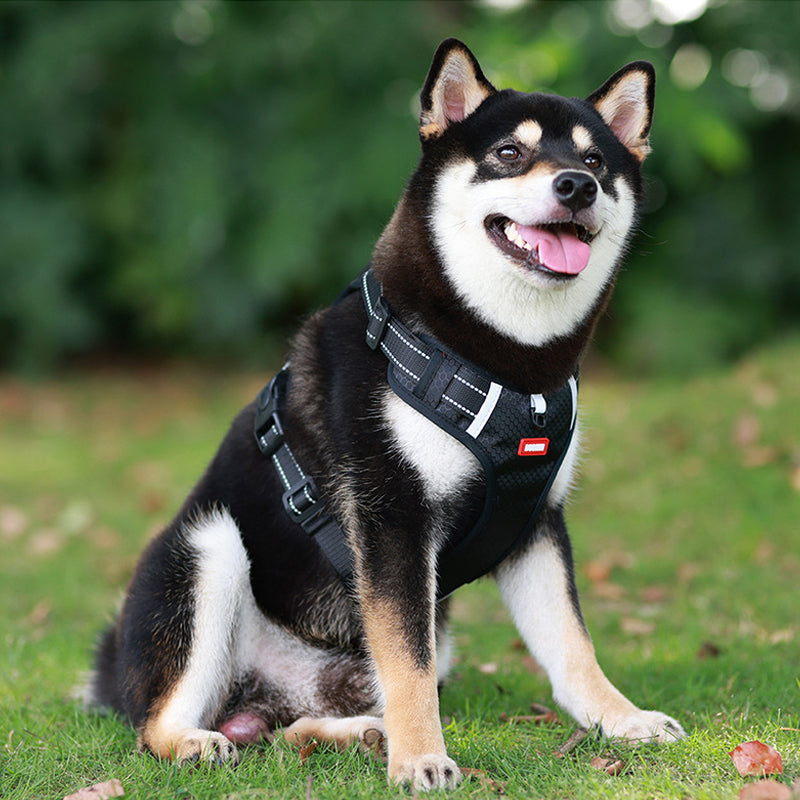 No-Pull Reflective Dog Harness & Leash Set