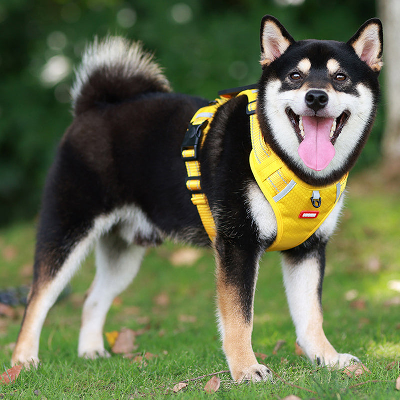 No-Pull Reflective Dog Harness & Leash Set