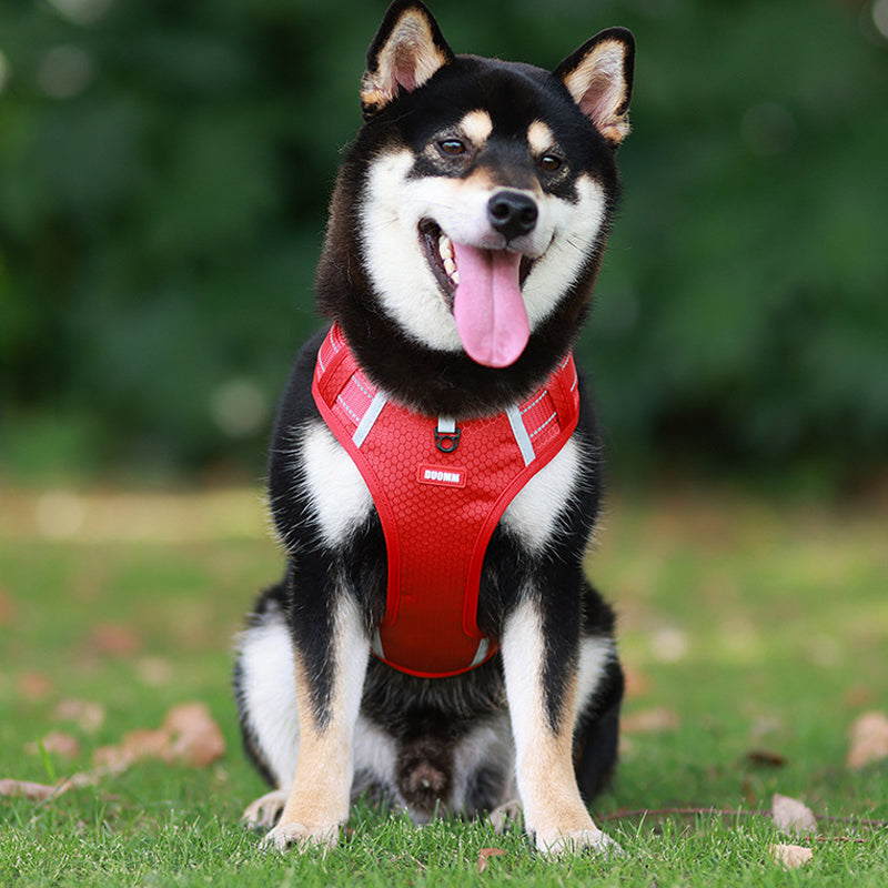 No-Pull Reflective Dog Harness & Leash Set