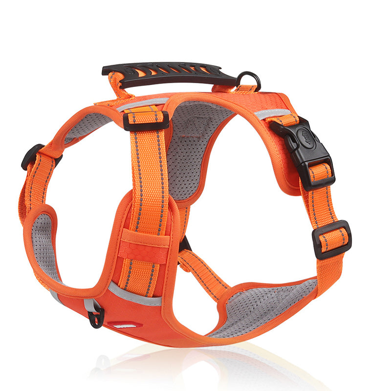 No-Pull Reflective Dog Harness & Leash Set