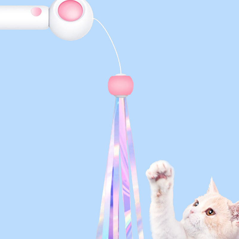 Retractable Cat Wand Teaser with Replaceable Heads