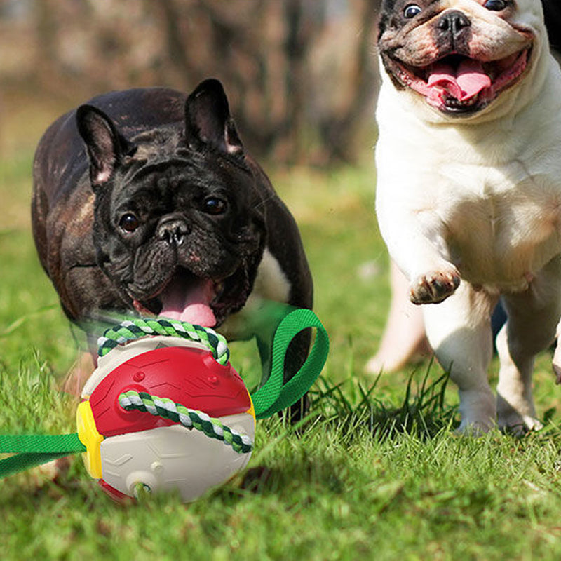Interactive Flying Saucer Dog Ball with Rope Handles