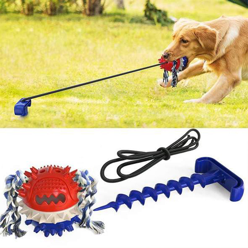 Outdoor Tug Toy with Ground Stake for Dogs