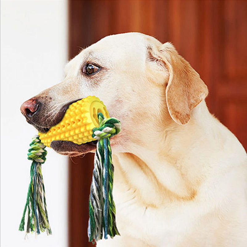 Corn Dental Chew Toy with Rope for Dogs