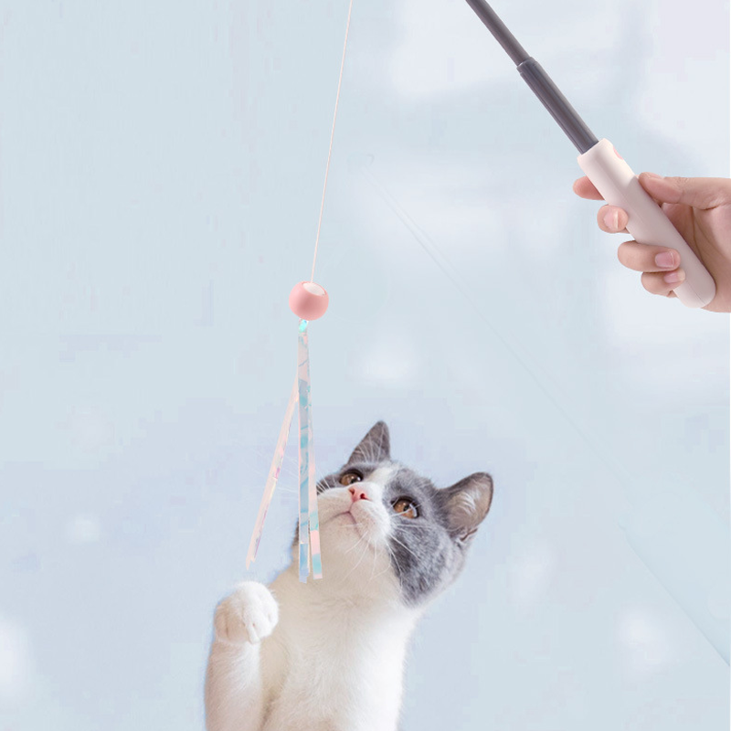 Retractable Cat Wand Teaser with Replaceable Heads