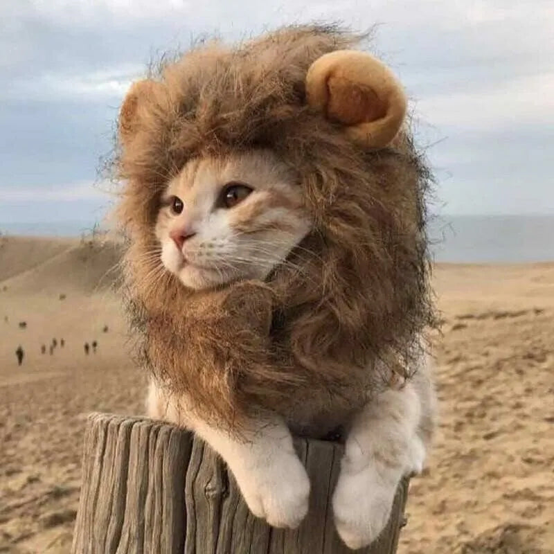 Lion Mane Costume Hat for Cats & Small Dogs