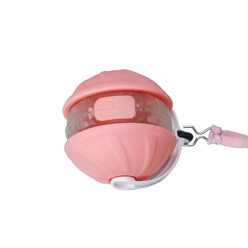 Self-Rotating Interactive Cat Ball with Feather & LED