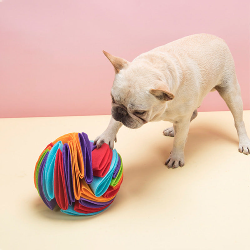 Snuffle Ball Interactive Foraging Toy for Dogs