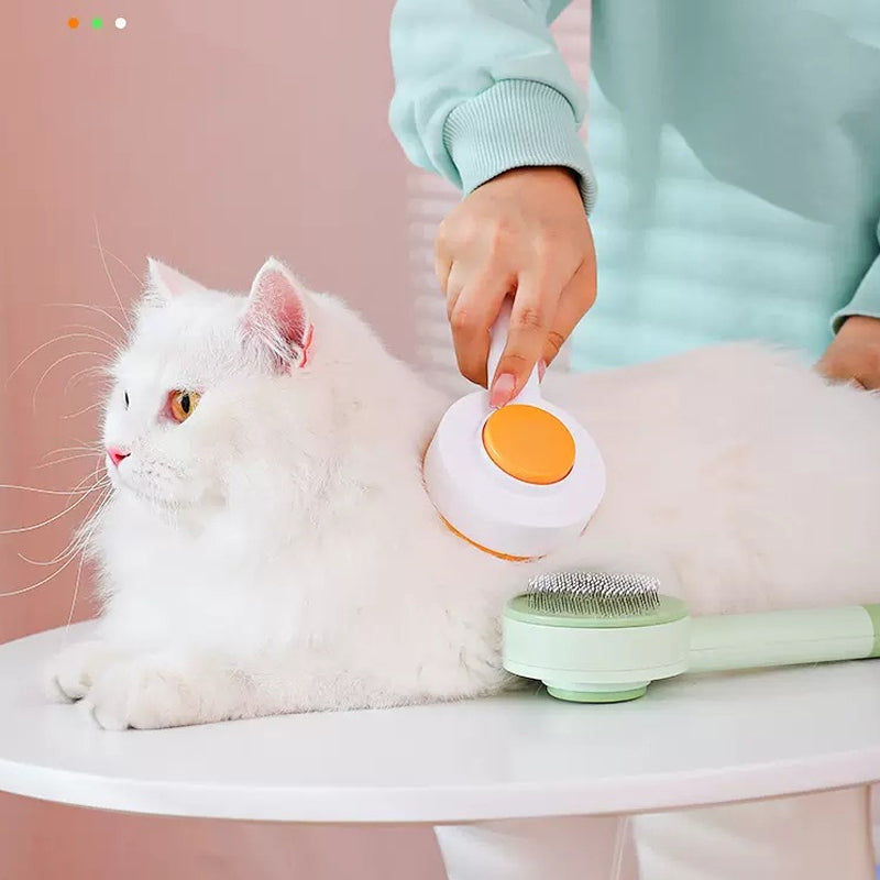 2-in-1 Self-Cleaning Pet Brush & Deshedding Comb