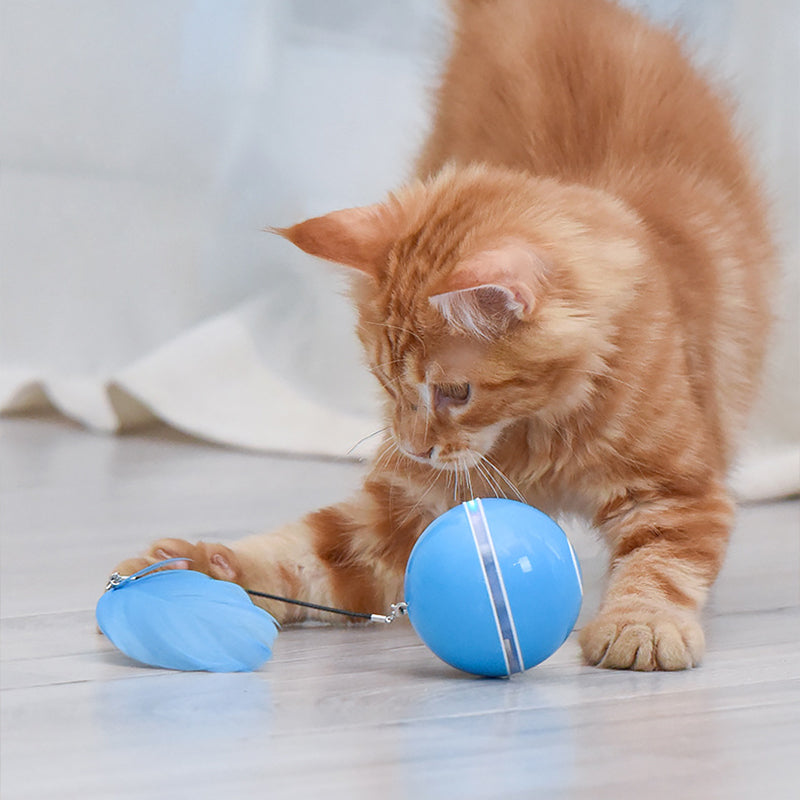 Smart Rolling Cat Ball with LED Light & Feather