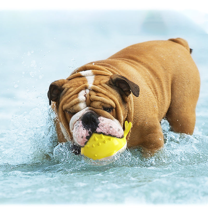 Floating Water Spray Dog Toy with Cooling Fountain