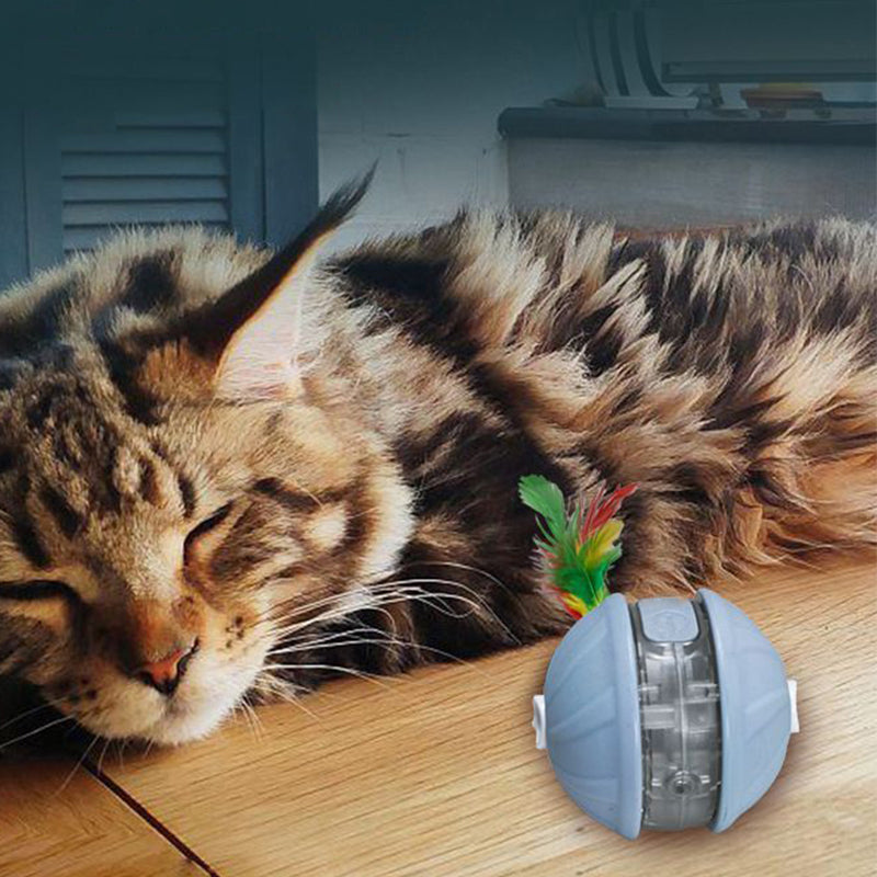 Self-Rotating Interactive Cat Ball with Feather & LED