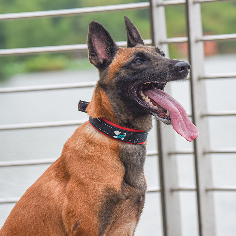 Reflective Padded Dog Collar with Metal Buckle