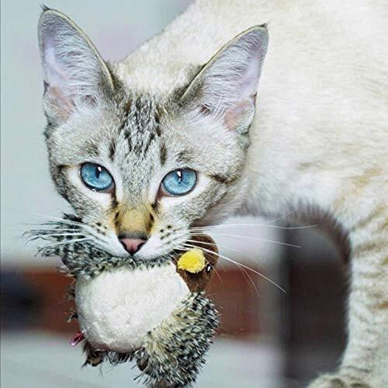 Chirping Bird Cat Toy with Real Bird Sounds