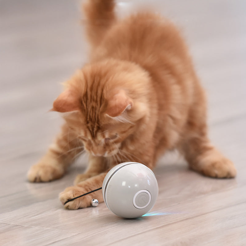 Smart Rolling Cat Ball with LED Light & Feather