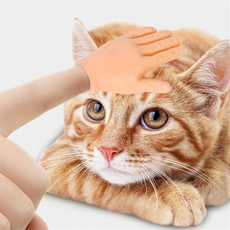 Tiny Hands Interactive Cat Teaser Toy Set