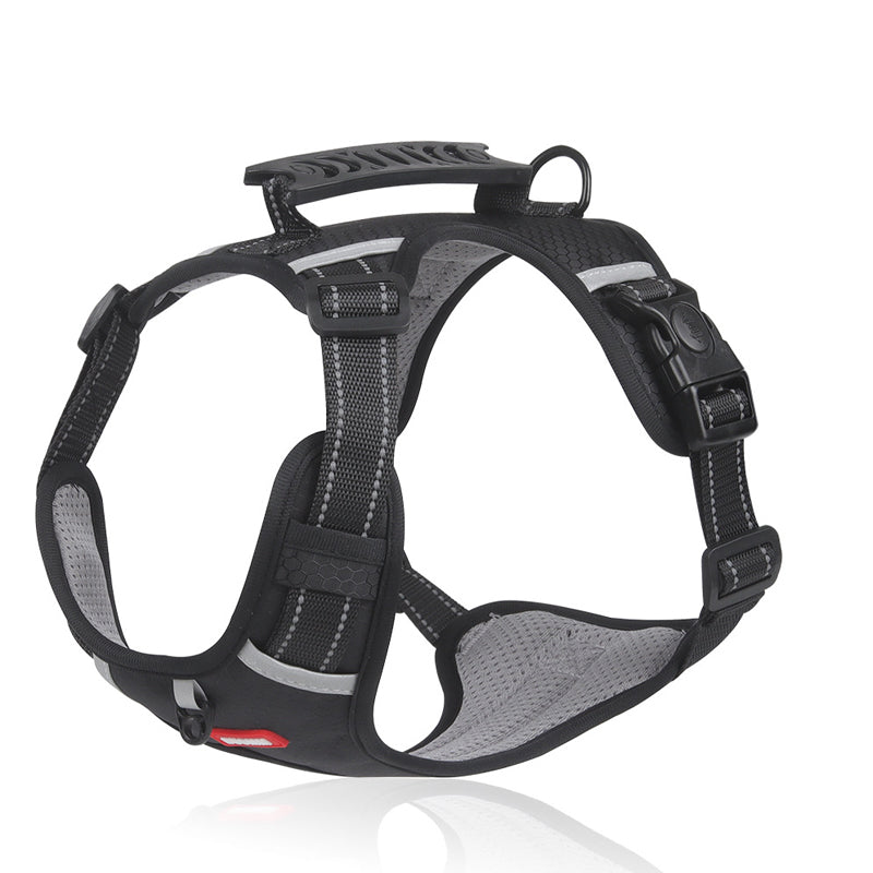 No-Pull Reflective Dog Harness & Leash Set