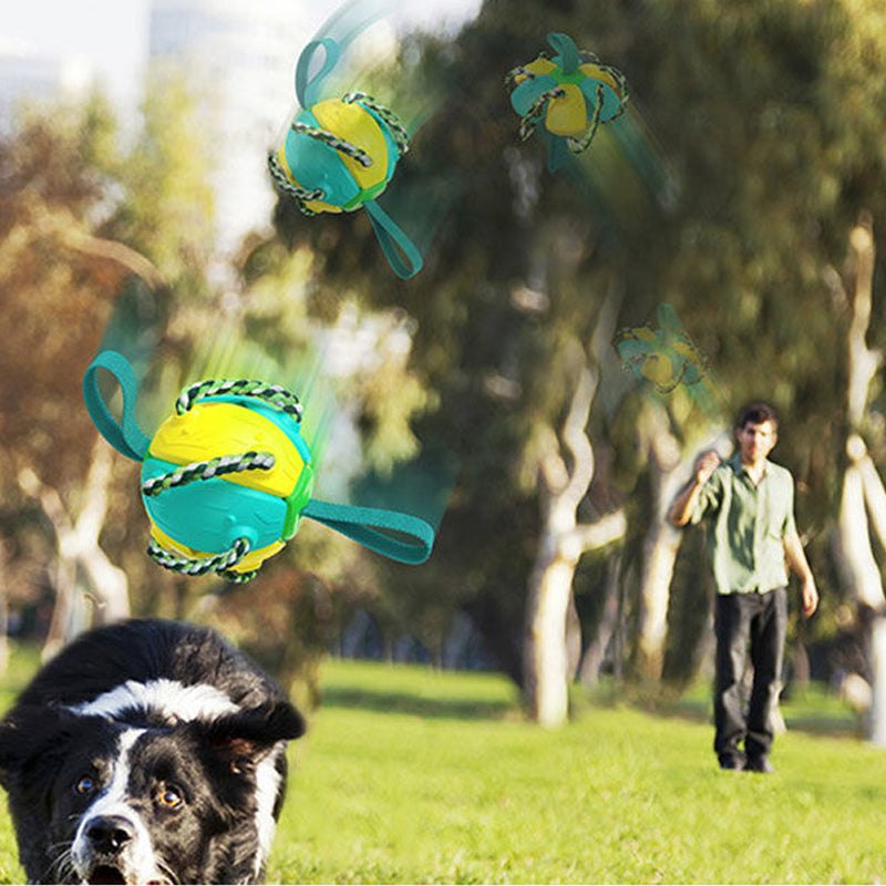 Interactive Flying Saucer Dog Ball with Rope Handles
