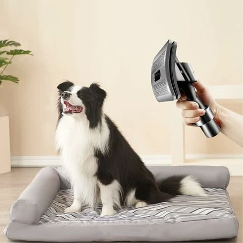 Pet Grooming Brush Head Set for Dyson V-Series Vacuums