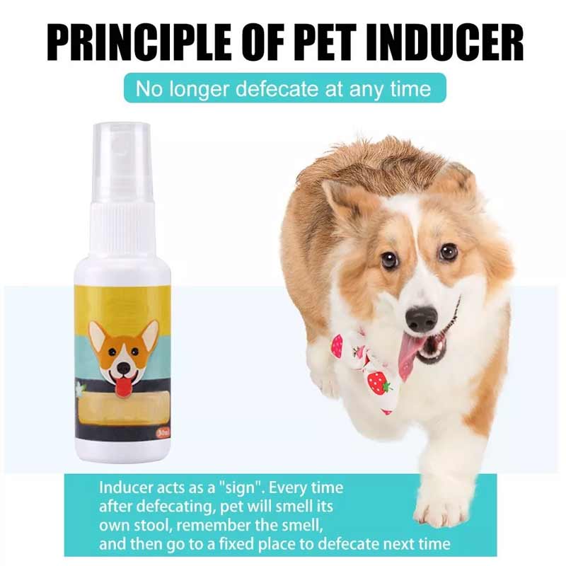 Dog Potty Training Attractant Spray