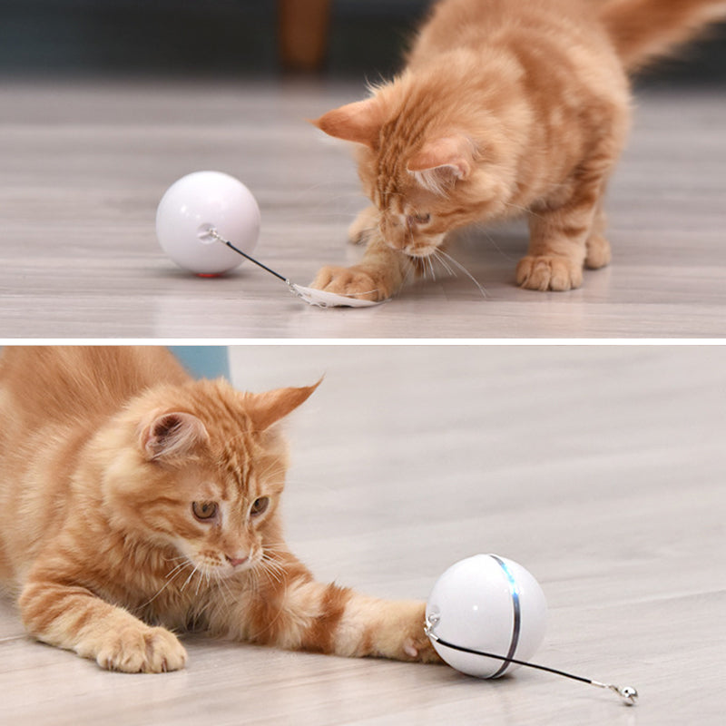 Smart Rolling Cat Ball with LED Light & Feather