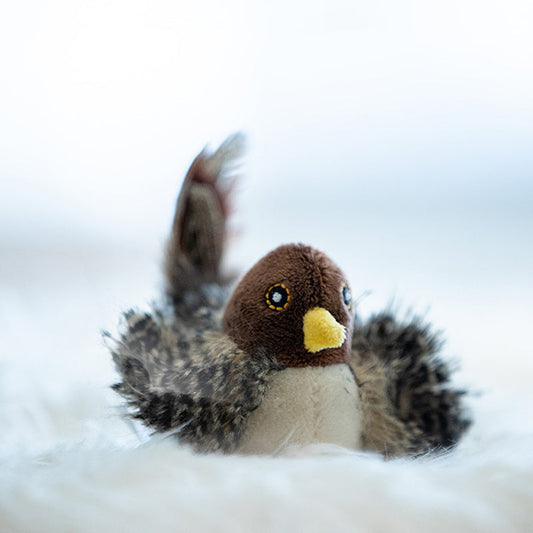 Chirping Bird Cat Toy with Real Bird Sounds