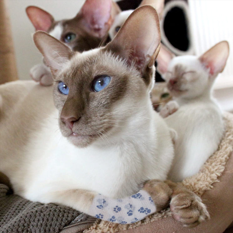 Self-Adhesive Pet Bandage Wrap - Paw Print Vet Tape