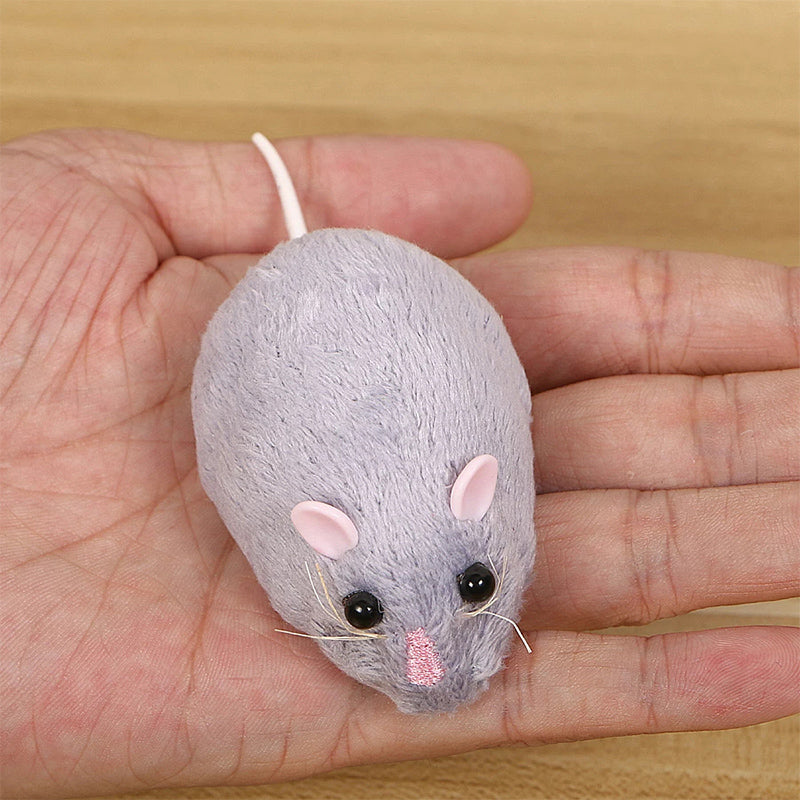 Remote Control Mouse Cat Toy with Cheese Remote