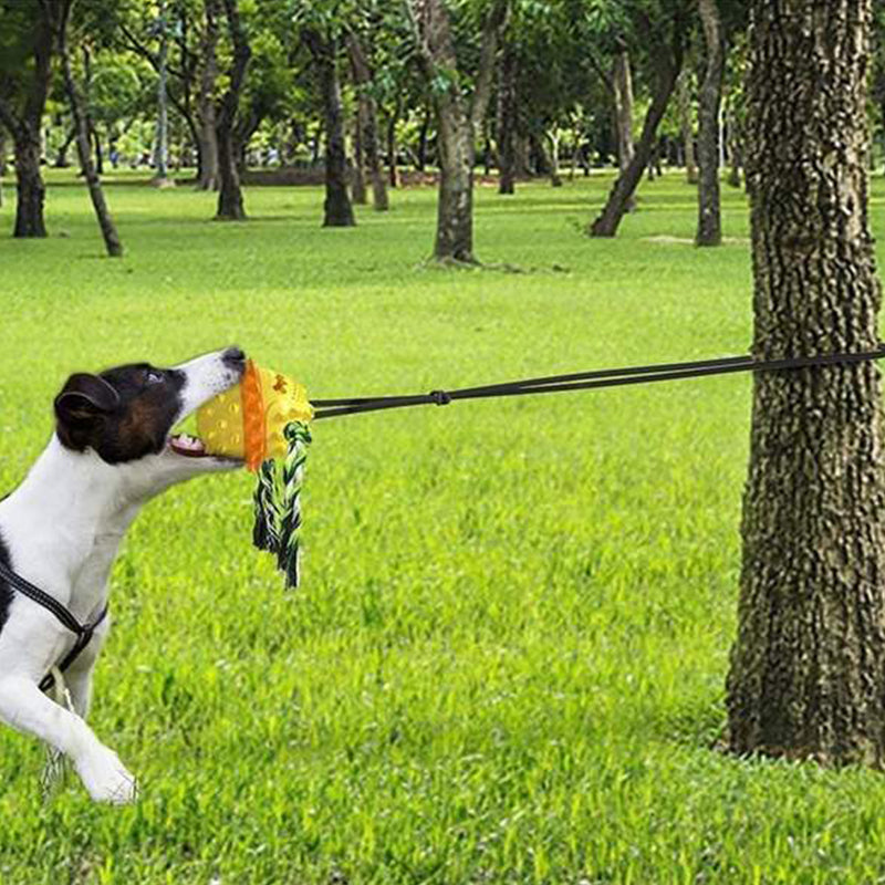 Outdoor Tug Toy with Ground Stake for Dogs