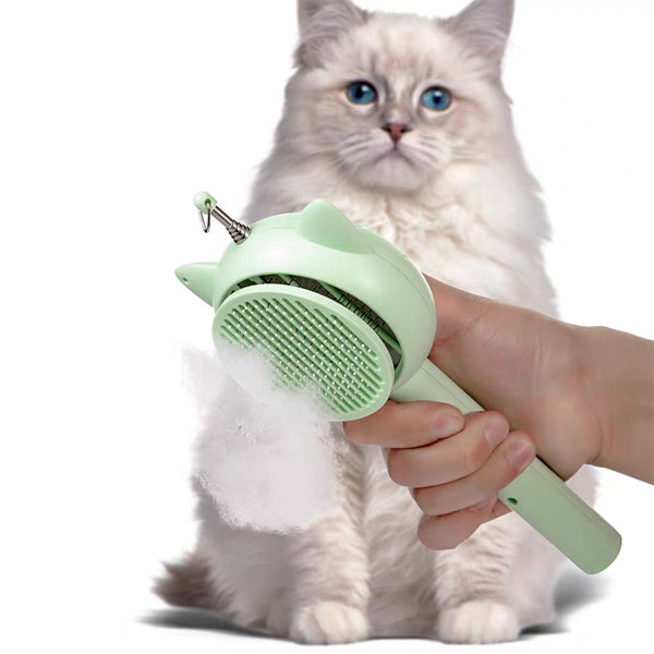 3-in-1 Cat Grooming Comb with Retractable Teaser & Laser