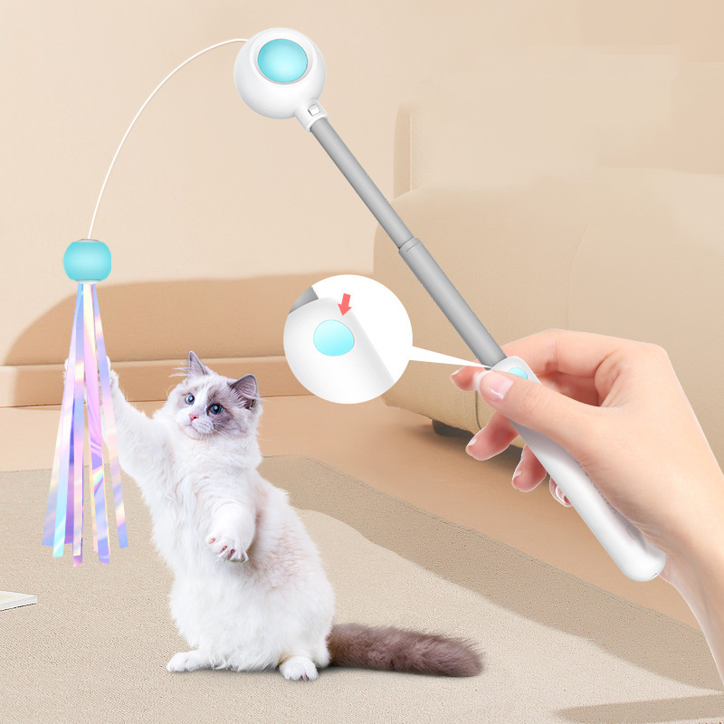 Retractable Cat Wand Teaser with Replaceable Heads