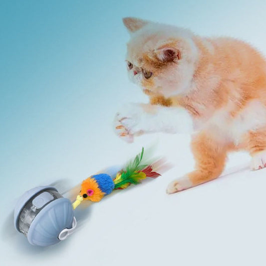 Self-Rotating Interactive Cat Ball with Feather & LED
