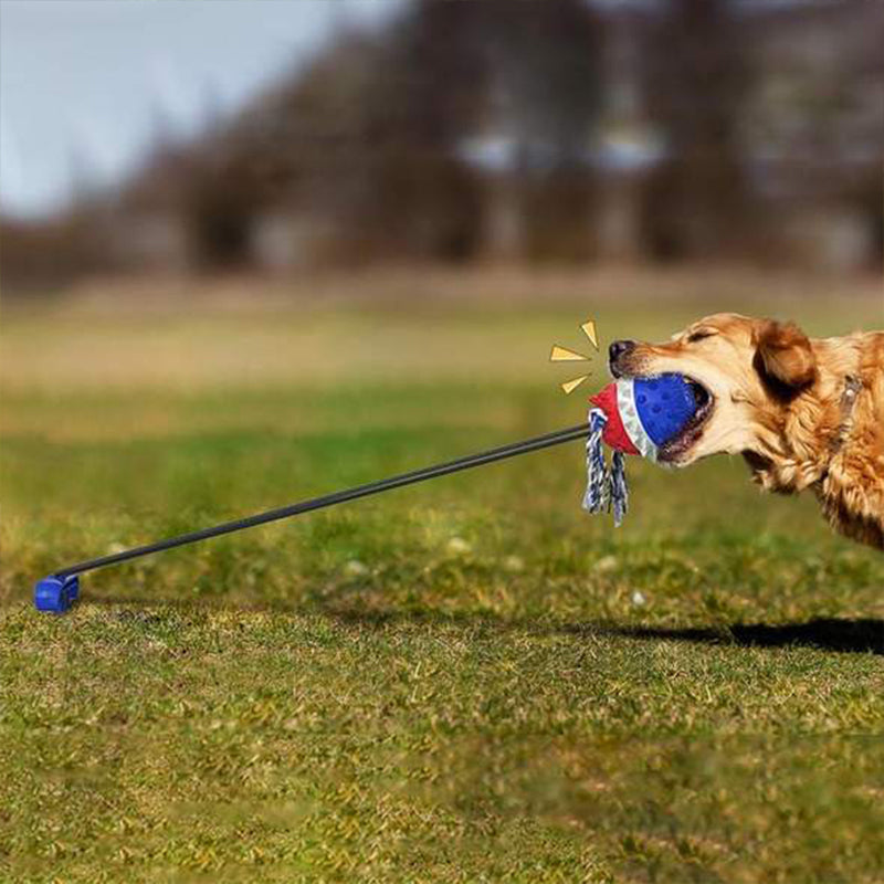 Outdoor Tug Toy with Ground Stake for Dogs