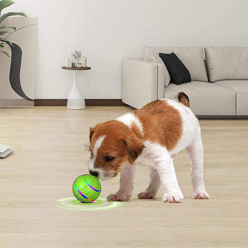 Interactive LED Motion Dog Ball - Self-Rolling Pet Toy