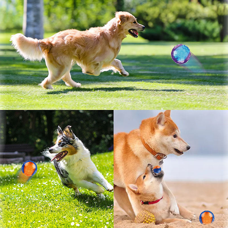 Giggle Squeaky Dog Ball - Durable Molar Chew Toy