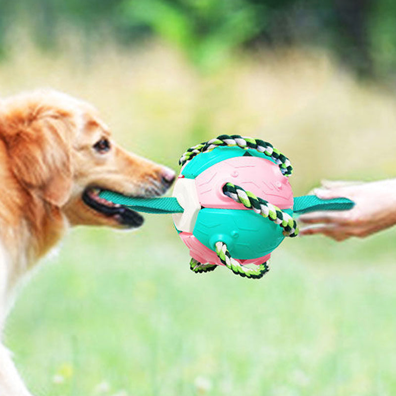 Interactive Flying Saucer Dog Ball with Rope Handles