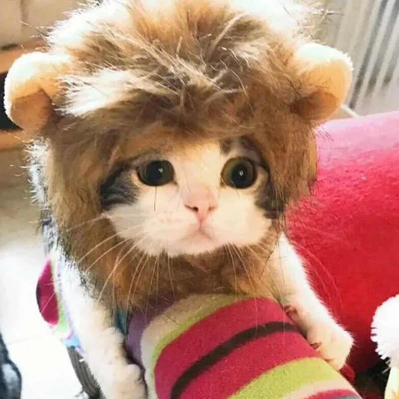 Lion Mane Costume Hat for Cats & Small Dogs