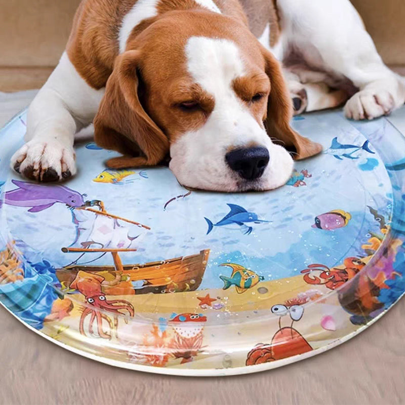 Water Sensory Play Mat for Cats & Dogs
