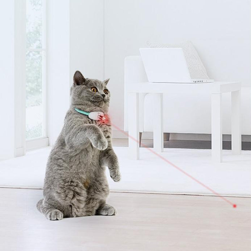 Wearable Laser Cat Collar - Hands-Free Play Toy