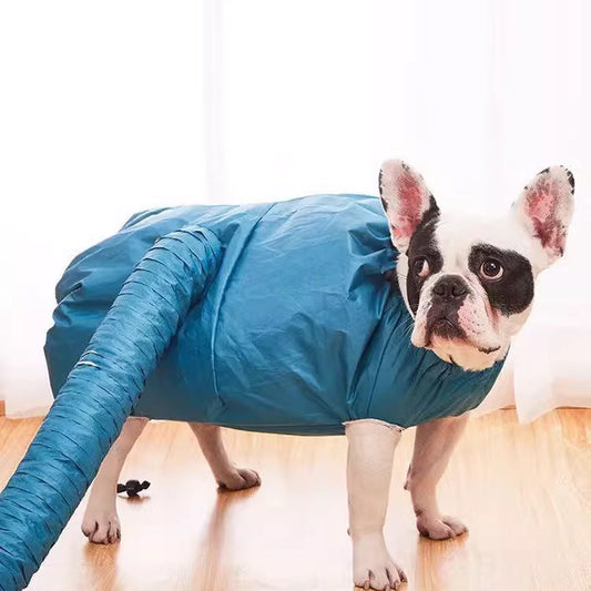 Hands-Free Dog Drying Bag for Fast, Mess-Free Baths
