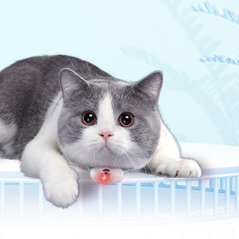 Wearable Laser Cat Collar - Hands-Free Play Toy