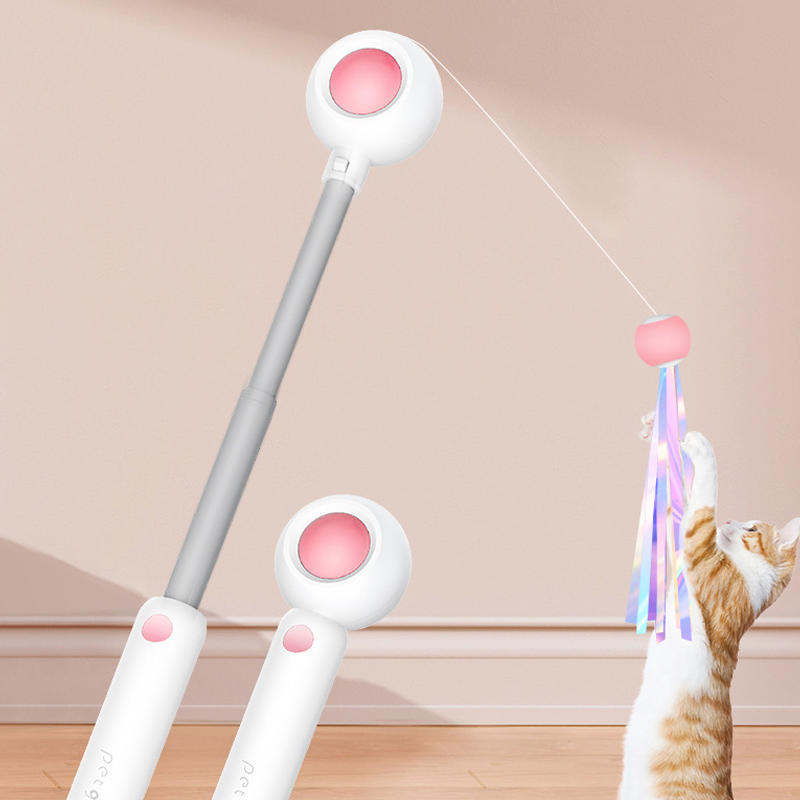 Retractable Cat Wand Teaser with Replaceable Heads
