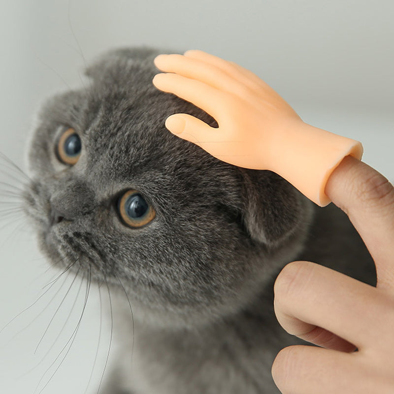 Tiny Hands Interactive Cat Teaser Toy Set